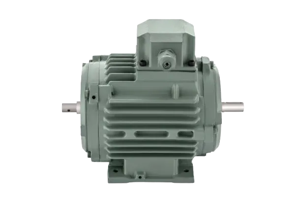 Aeronox Induction Motor Supplier in New Delhi
